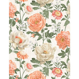 Large Flowers - Peach Whispers - Cream