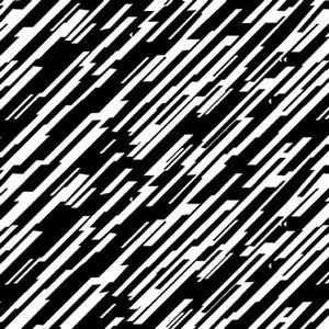 Bias Stripe - Paradox II - Black and White