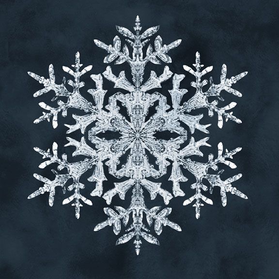 Snowflakes - Navy