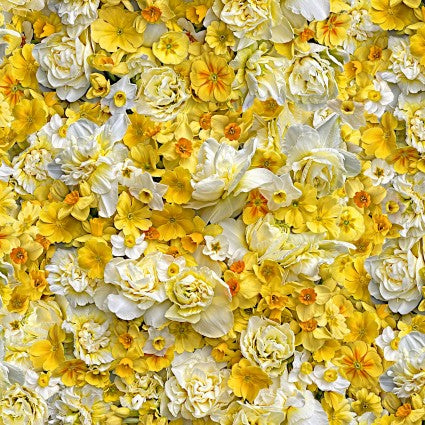 This fabric is designed by Nicholas Lapp for the collection Hand Picked: Forget Me Not. This fabric is covered in bright yellow flowers and is sure to brighten up any project! 