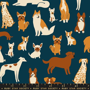 Assortment of cartoon dog breeds sitting patiently on a navy background. From the Dog Park Collection by Ruby Star for Moda Fabrics. 100% Cotton, 44/45" wide.